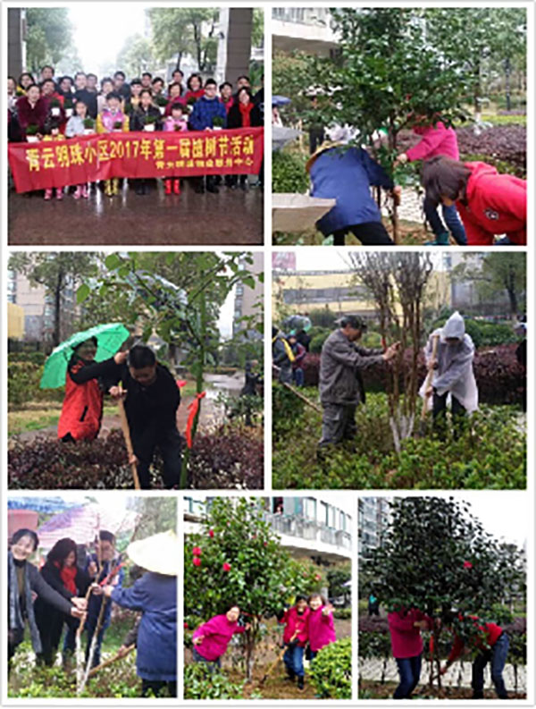 播一片綠林，種一份愛心
